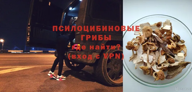 Псилоцибиновые грибы Psilocybe  продажа наркотиков  Байкальск 